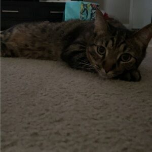 Meet your Posher, Kenny